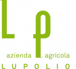 Lupolio